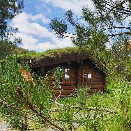 Log Home Village Ulverston Exteriör bild